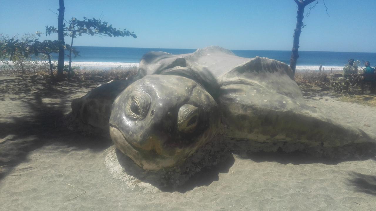 Las Cabinas De Veronique Venado Zewnętrze zdjęcie